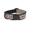 Pet Dog Black Buckle Collar Leash Set - PetFindsUSA - PetFindsUSA