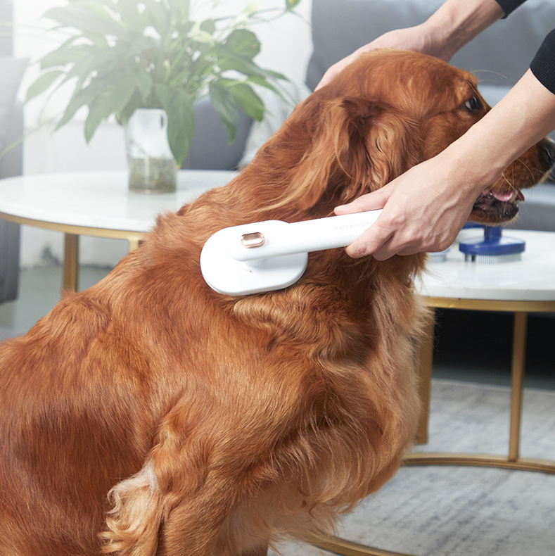 Pet Comb for Cats and Dogs to Remove Floating Hair - PetFindsUSA - PetFindsUSA