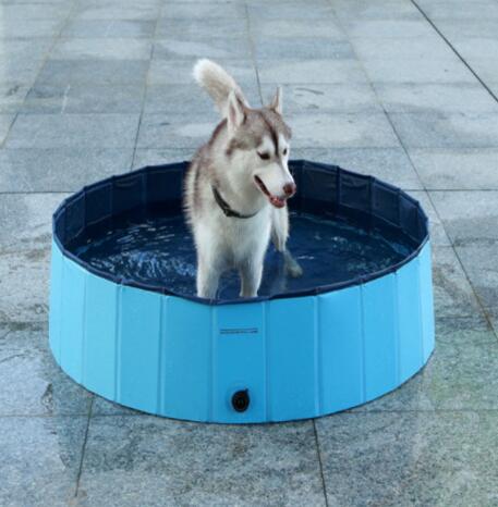 Foldable Pet Pool - PetFindsUSA - PetFindsUSA