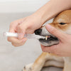 Pet Teeth Repairing Kit For Dog Cat Teeth Cleaning Pen Kit - PetFindsUSA - PetFindsUSA