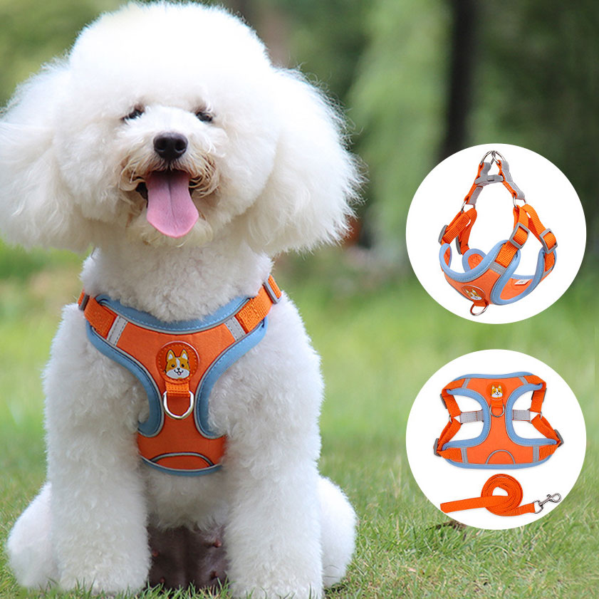 Dog & Cat Reflective Soft Mesh Harness with Leash - PetFindsUSA - PetFindsUSA