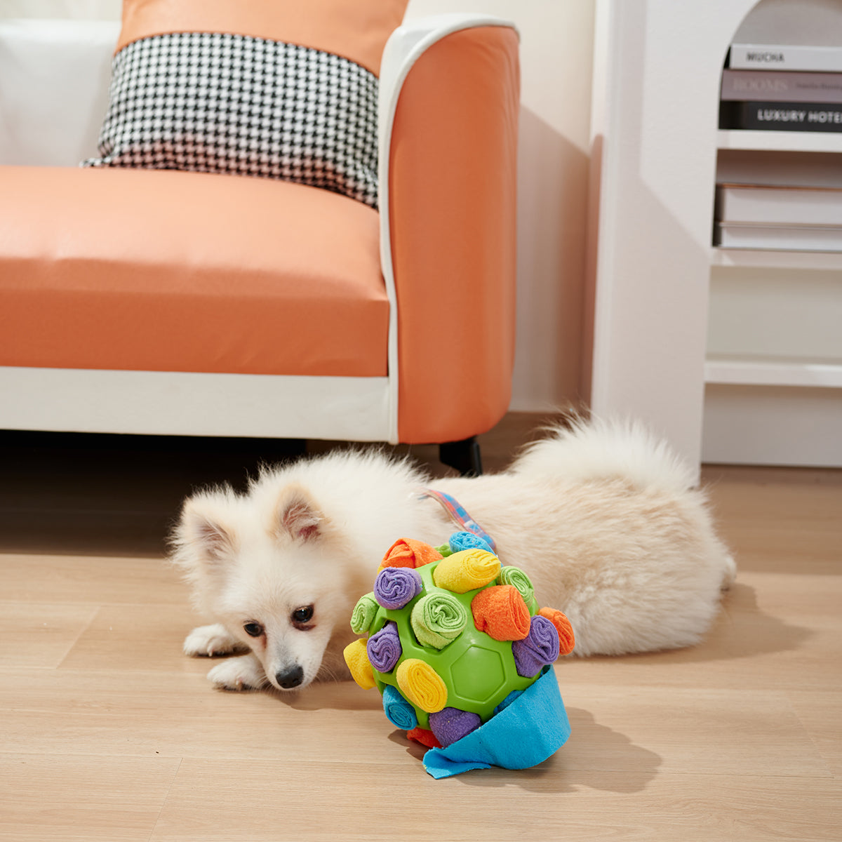 Smart Sniff Ball: Engage Your Dog's IQ