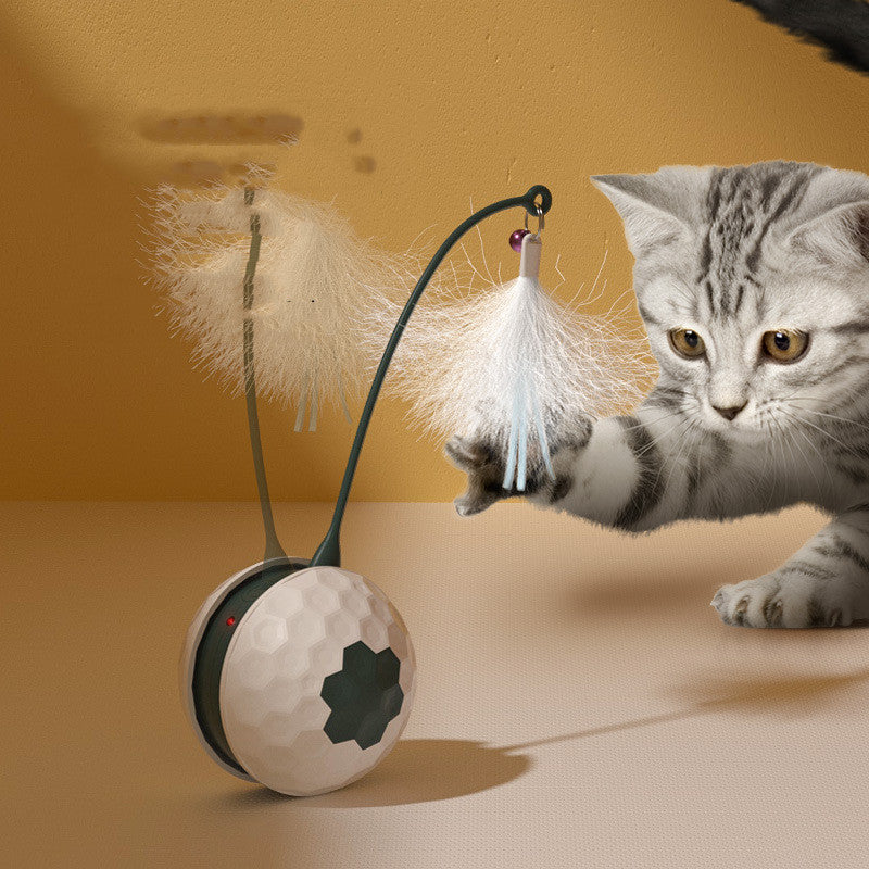 Enjoying Electric Intelligent Bite Resistant Cat Toy - PetFindsUSA - PetFindsUSA