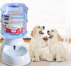 Automatic Pet Feeder with Drinking Water Fountains - PetFindsUSA - PetFindsUSA