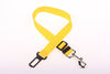 Fixed Dog Strap & Leash - PetFindsUSA - PetFindsUSA