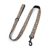 Pet Dog Black Buckle Collar Leash Set - PetFindsUSA - PetFindsUSA