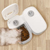 Automatic Pet Feeder with Timer and Stainless Steel Bowl - PetFindsUSA - PetFindsUSA