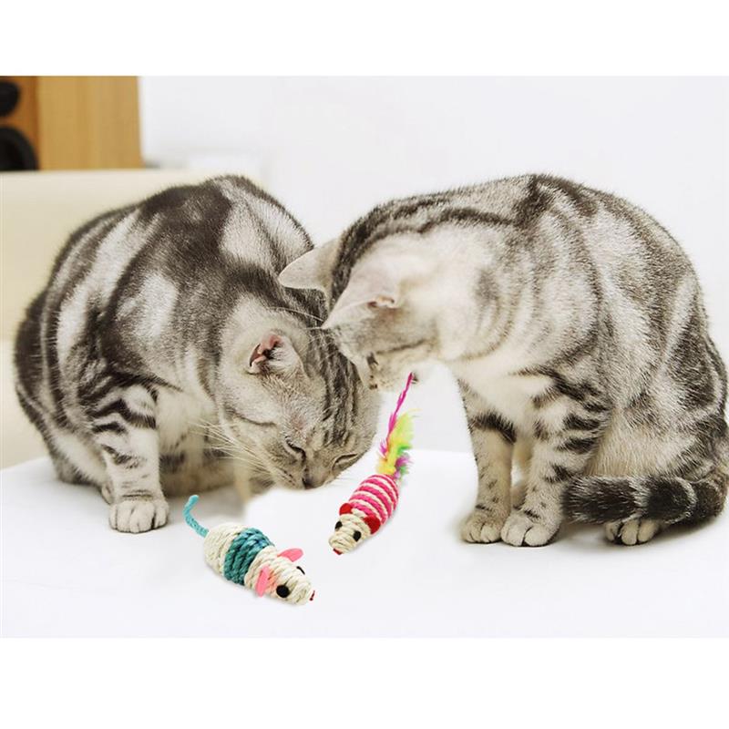Legendog 3Pcs/Set Mice Cat Toys Interactive Cat Squeaky Toys Kitten Mouse Toys For Cats Pet Supplies Random Color - PetFindsUSA - PetFindsUSA