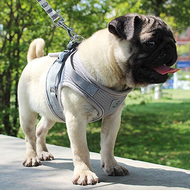 Vest Harness Leash Adjustable Mesh Vest Dog Harness Collar Chest Strap Leash Harnesses With Traction Rope XS/S/M/L/XL - PetFindsUSA - PetFindsUSA