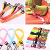 Fixed Dog Strap & Leash - PetFindsUSA - PetFindsUSA