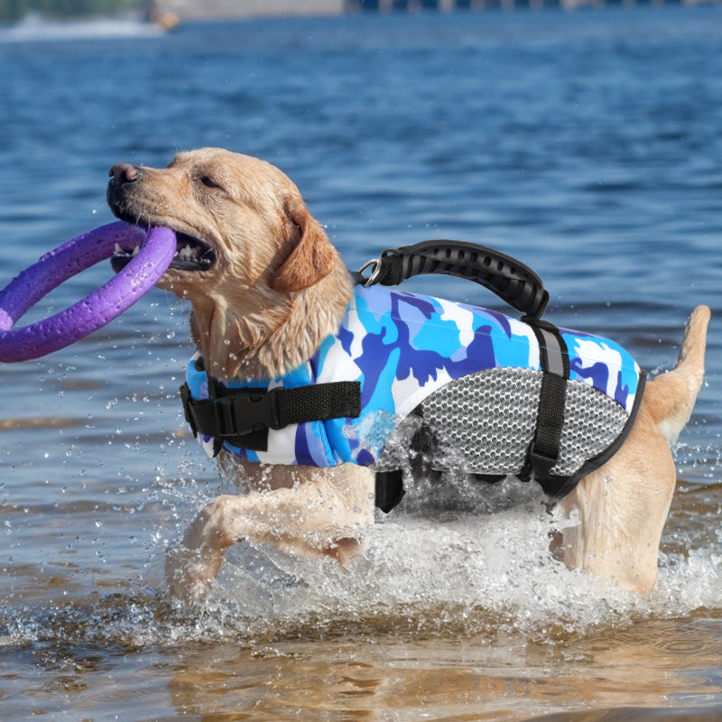 Life Jacket Swimming Clothes Corgi Golden Fur Chai Dog - PetFindsUSA - PetFindsUSA