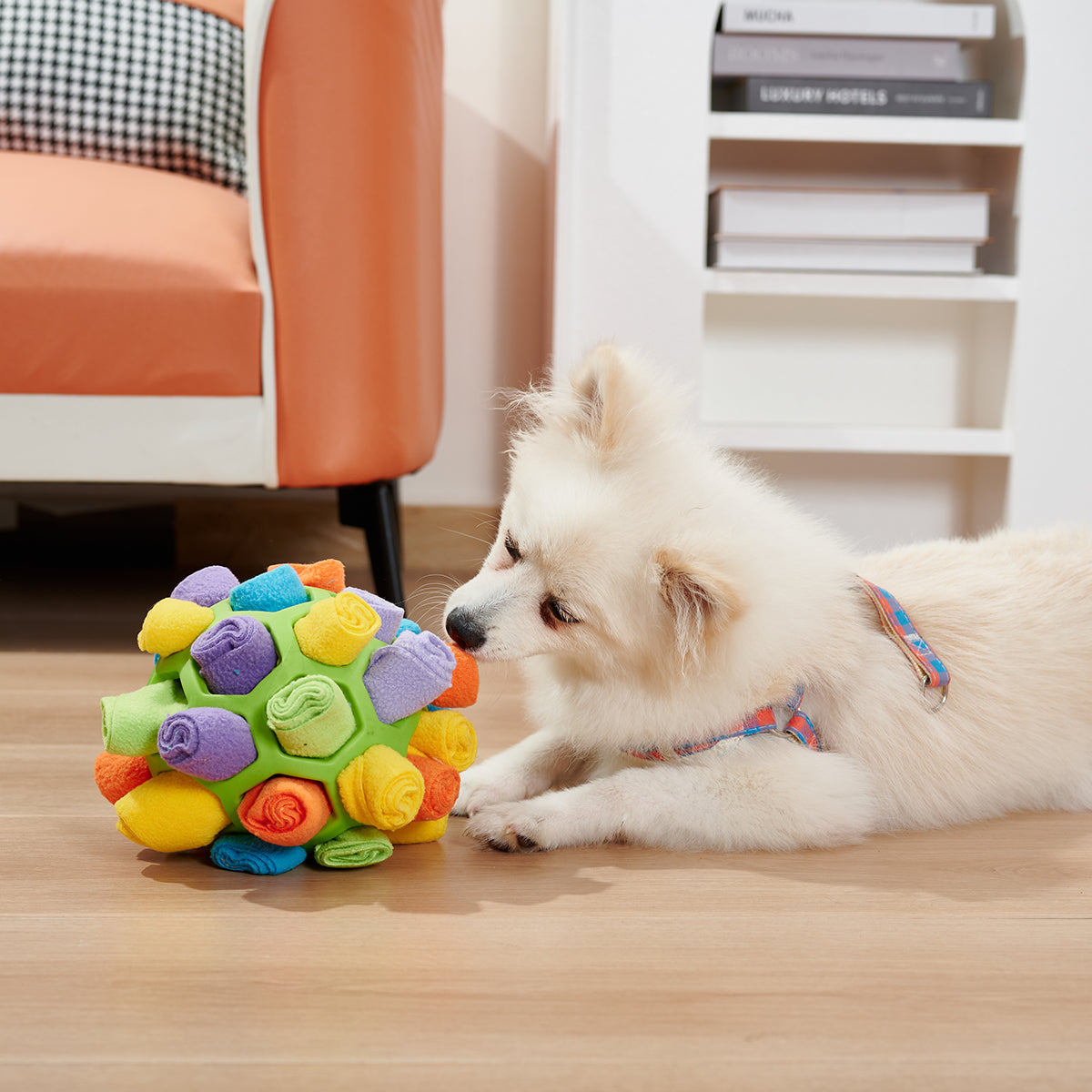 Smart Sniff Ball: Engage Your Dog's IQ