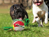 Interactive Dog Football Soccer Ball with Tabs - PetFindsUSA - PetFindsUSA