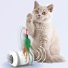 Interactive Cat Toy With Interchangeable Heads  Pet Feather Toys - PetFindsUSA - PetFindsUSA