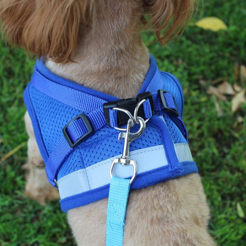 Vest Harness Leash Adjustable Mesh Vest Dog Harness Collar Chest Strap Leash Harnesses With Traction Rope XS/S/M/L/XL - PetFindsUSA - PetFindsUSA